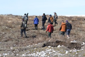 Birding "The Boneyard"